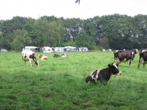 Minicamping 't Vosje, boerderijcamping Overijssel